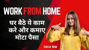 Work From Home: घर बैठे ये काम करे और कमाए मोटा पैसा । एक बार शुरू करके देखो